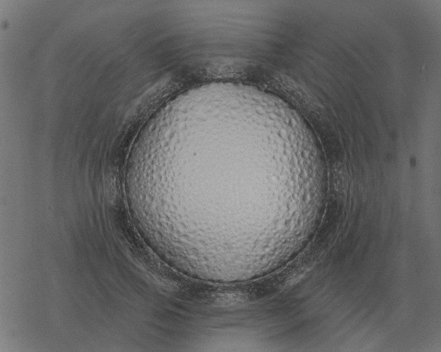 X0000077410741200611032051