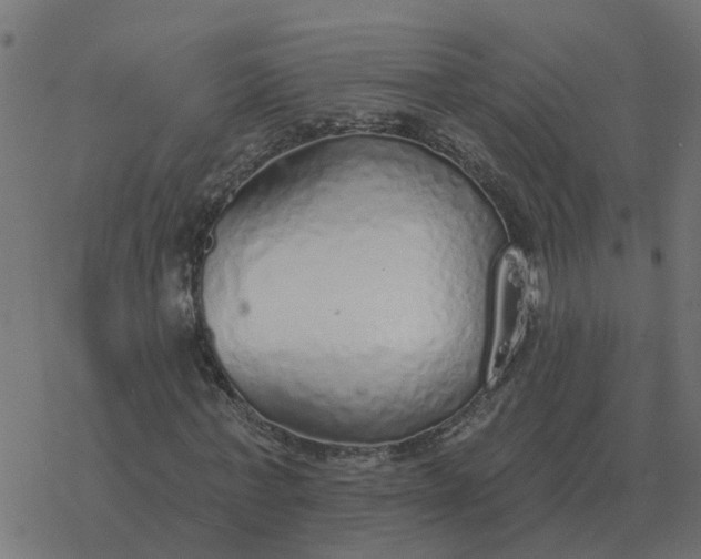 X0000077410771200611032050