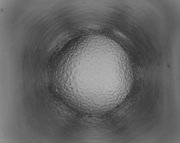 X0000077410774200611032050