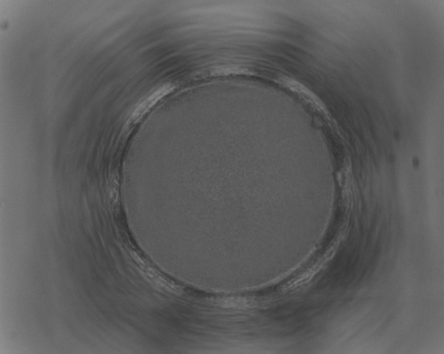 X0000077410785200611032050