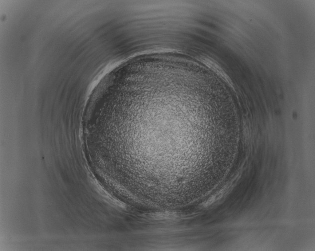 X0000077410797200611032050