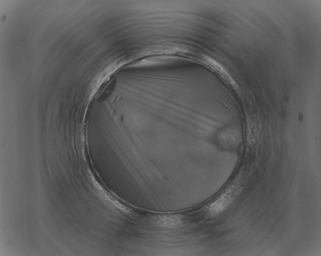 X0000077410802200611032050