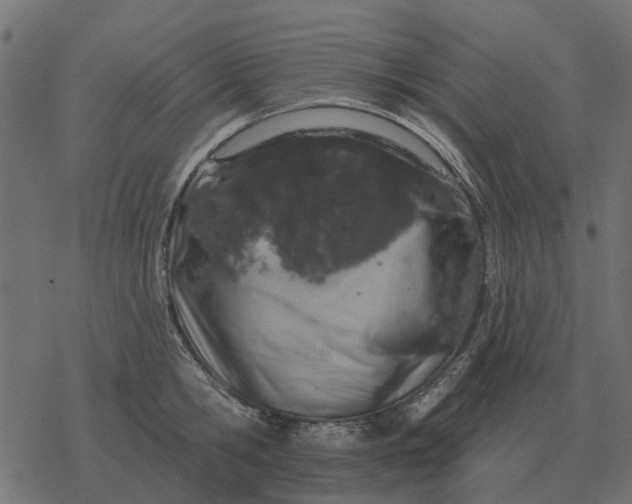 X0000077410806200611032050