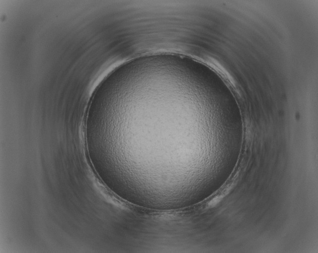X0000077410814200611032050
