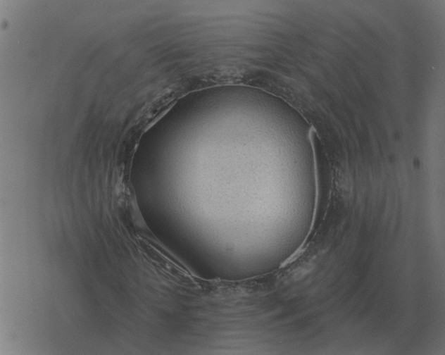 X0000077410818200611032049