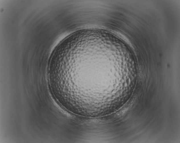 X0000077410847200611032049