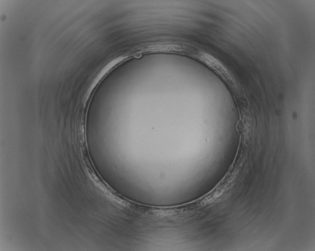 X0000077410852200611032050