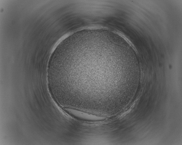 X0000077410853200611032050