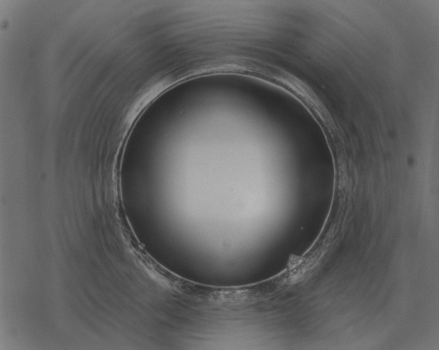 X0000077410858200611032050