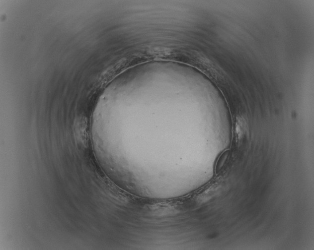 X0000077410867200611032049