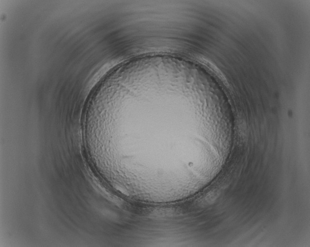 X0000077410890200611032049