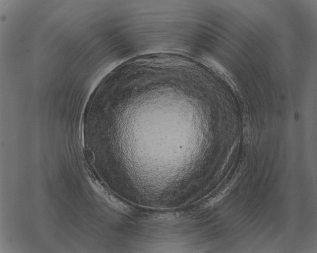X0000077410892200611032049
