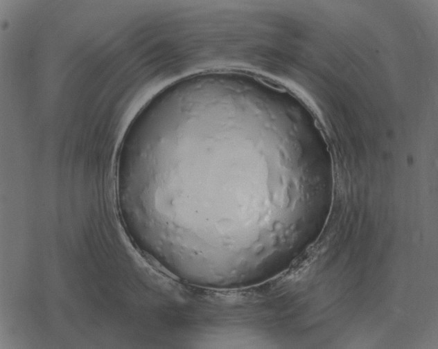 X0000077410911200611032048