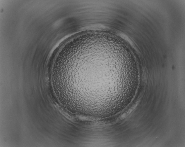 X0000077410923200611032048