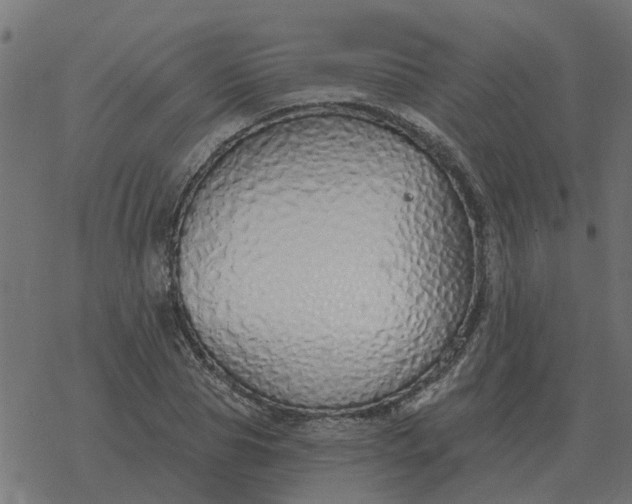 X0000077410929200611032048