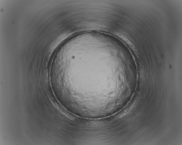 X0000077410933200611032048