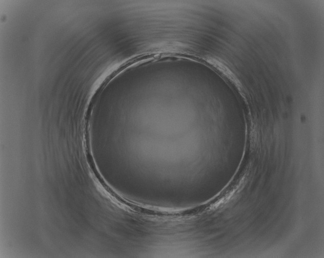X0000077410941200611032048