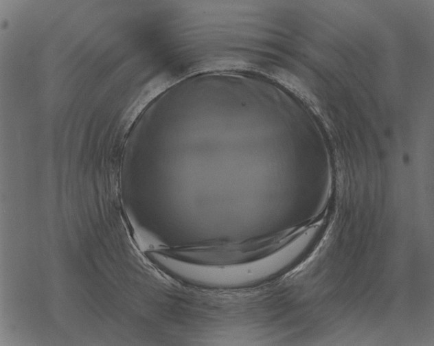 X0000077410945200611032048
