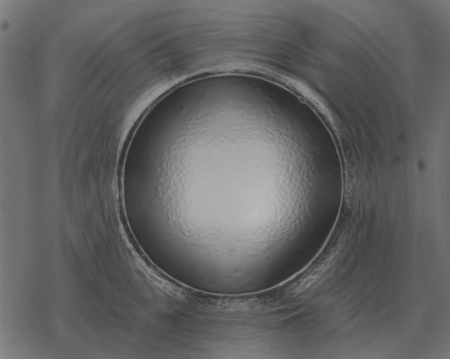 X0000077410951200611032048