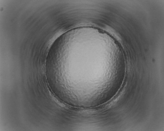 X0000077410953200611032048