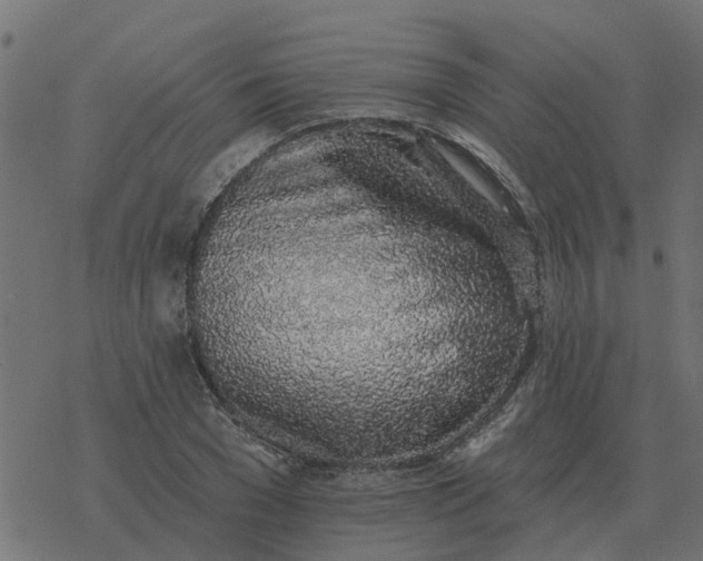 X0000077410977200611032047