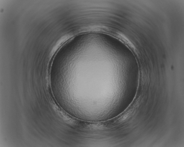 X0000077410994200611032047