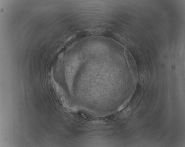 X0000077411010200611032046