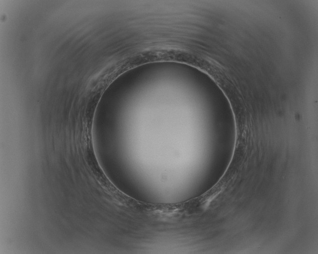 X0000077411014200611032046