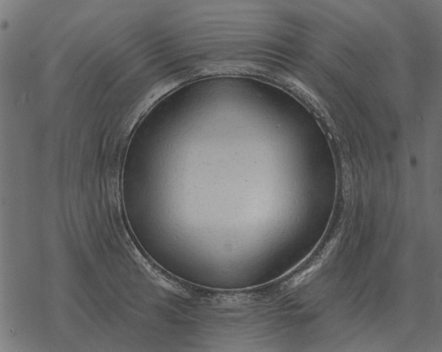 X0000077411041200611032046