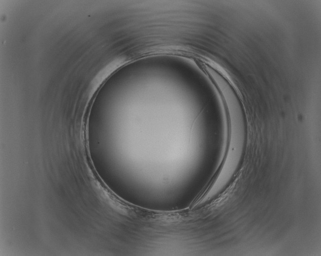 X0000077411050200611032047