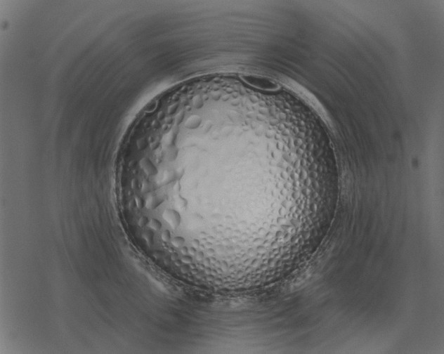 X0000077411051200611032047