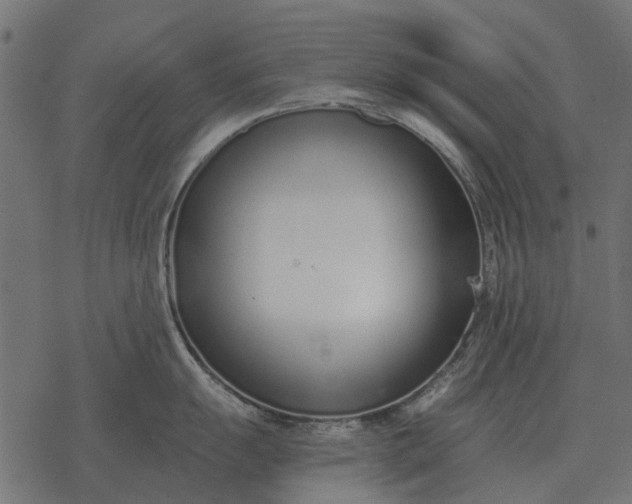 X0000077411055200611032047