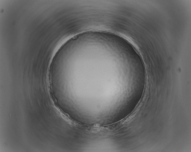 X0000077411056200611032047