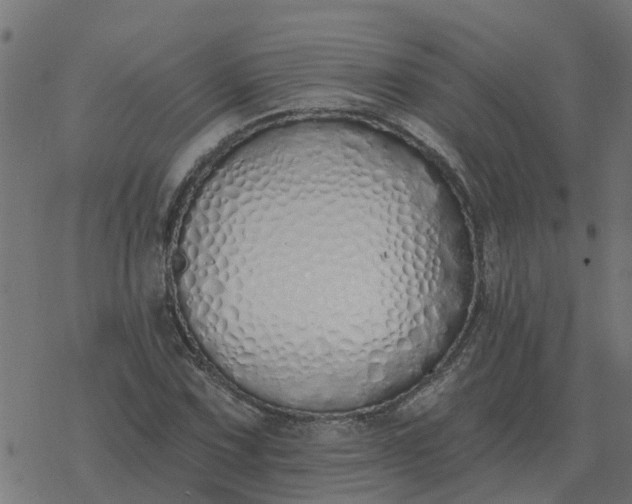X0000077411067200611032046