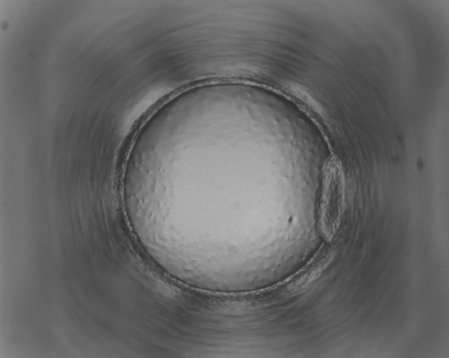 X0000077411071200611032046