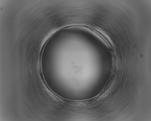 X0000077411101200611032045