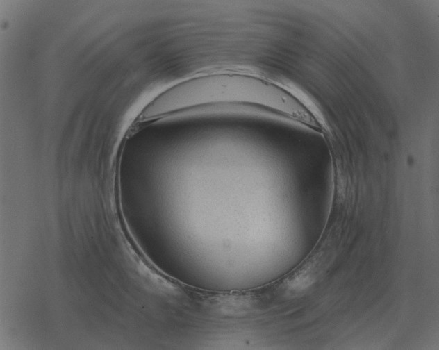 X0000077411102200611032045