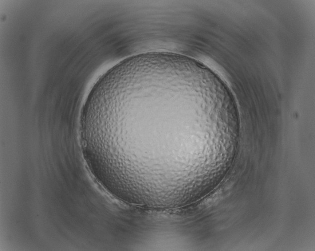 X0000077411104200611032045