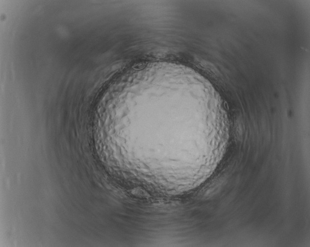 X0000077411105200611032044