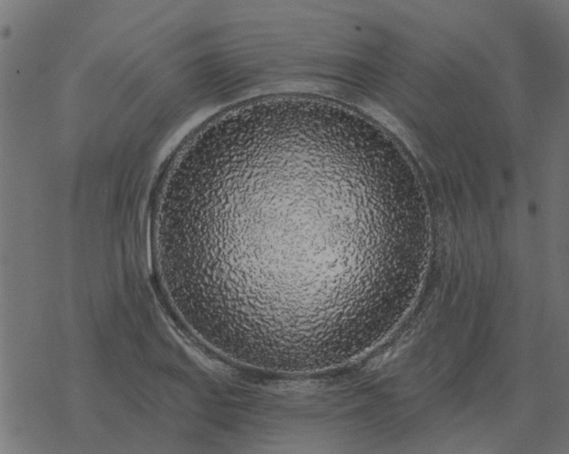 X0000077411127200611032045