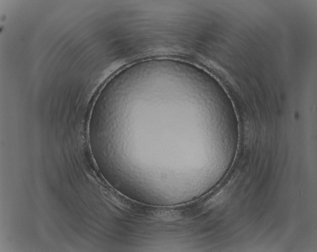 X0000077411170200611032044