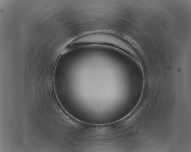 X0000077411177200611032044