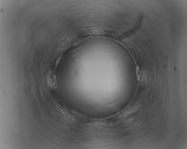 X0000077411202200611032043