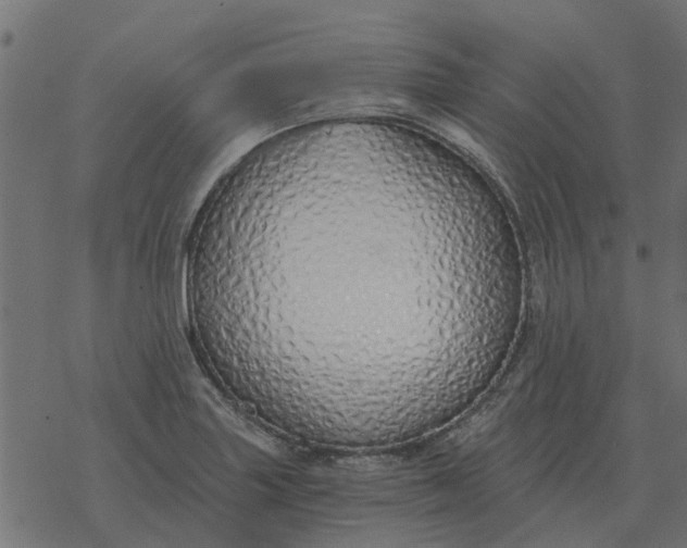 X0000077411227200611032043