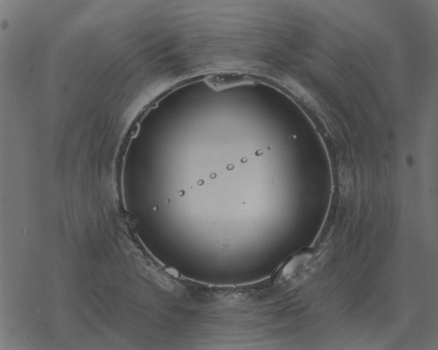 X0000077411230200611032043