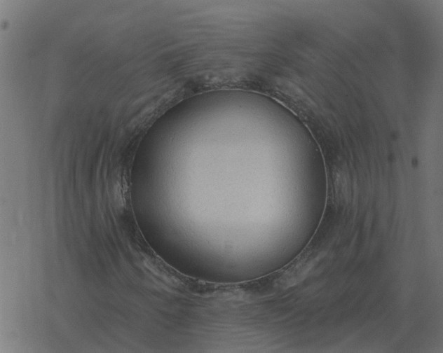 X0000077411250200611032043