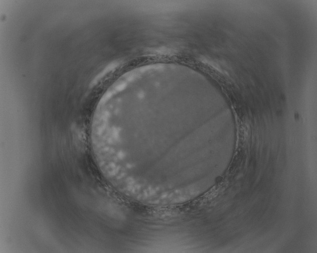 X0000077411254200611032043