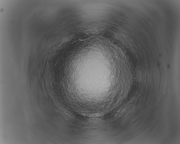 X0000077411297200611032041
