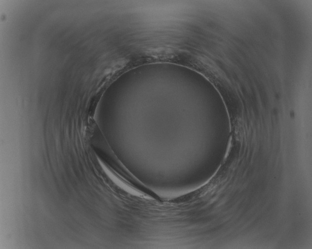 X0000077411298200611032041
