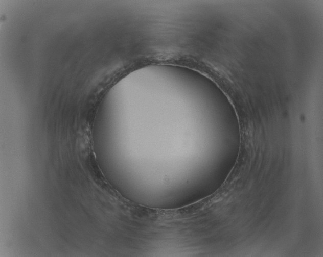 X0000077411349200611032041
